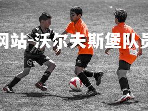 球王会体育官方网站-沃尔夫斯堡队员的城市探索活动