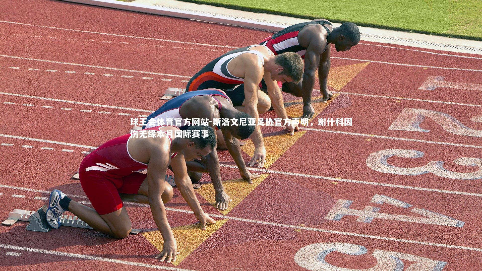 斯洛文尼亚足协官方声明，谢什科因伤无缘本月国际赛事